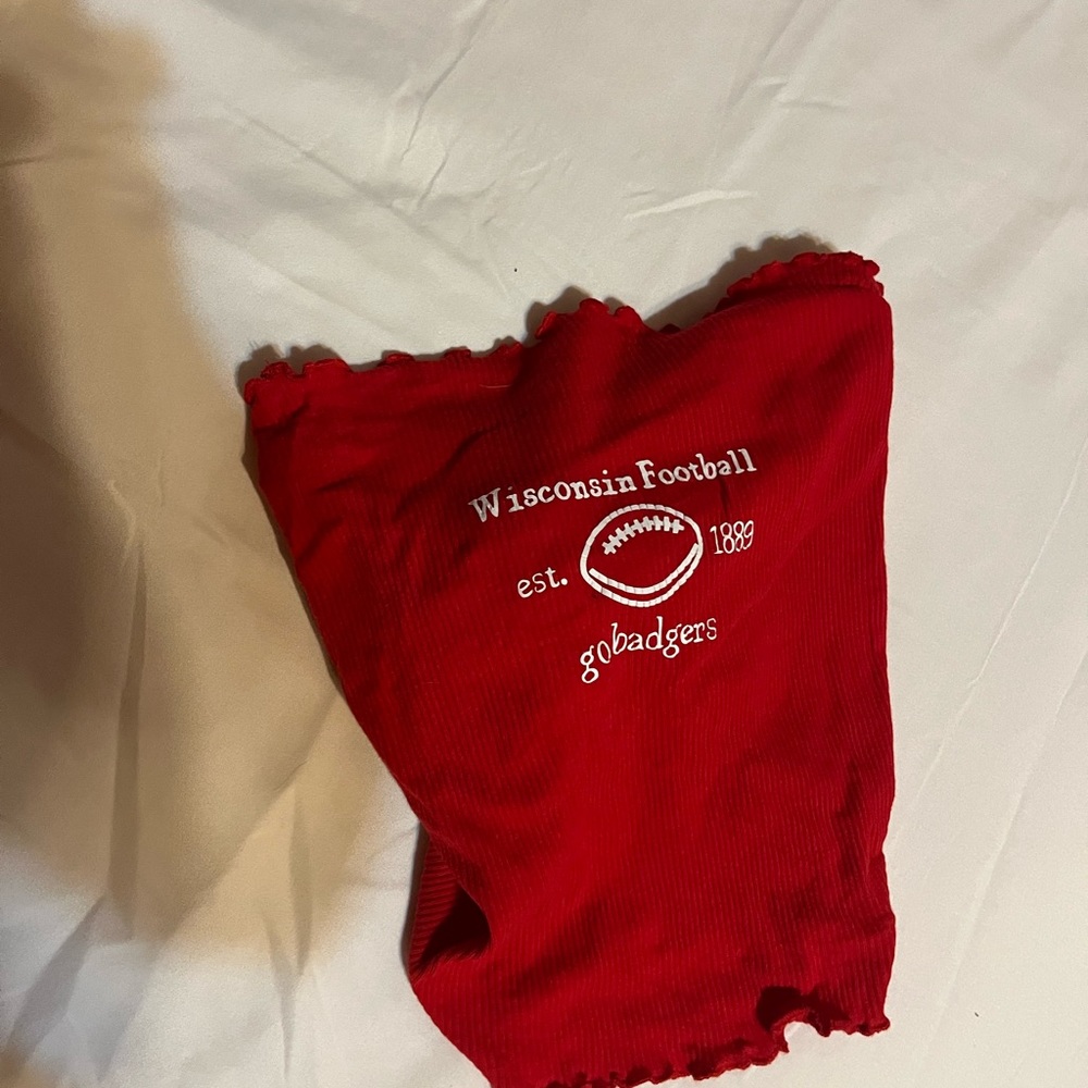 Wisconsin Football Badgers Crop Top, handmade